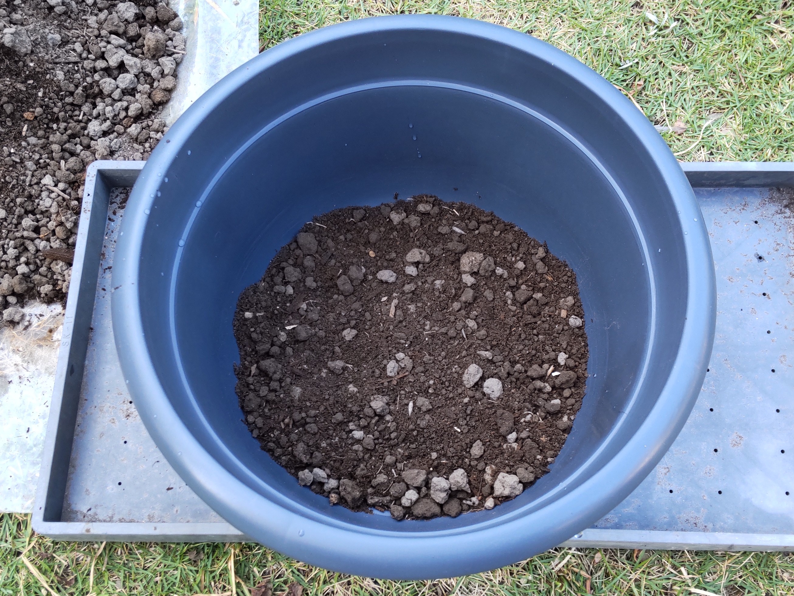 大鉢の底の土を入れた様子